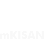mKisan